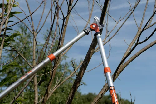 Foarfecă de crengi BAHCO cu două mâini, telescopică, 700-900 mm