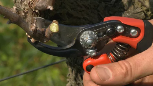 BAHCO ERGO™ metszőolló fix markolattal, (vágási kapacitás: 15 mm) S