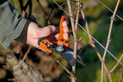 BAHCO ERGO™ metszőolló fix markolattal, (vágási kapacitás: 15 mm) M