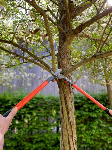 Foarfecă de crengi BAHCO 500 mm