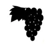 Foarfece de recoltare BAHCO