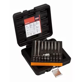   Set de biți BAHCO Drive. 32 buc., 10 mm, TX, XZN, cheie Allen