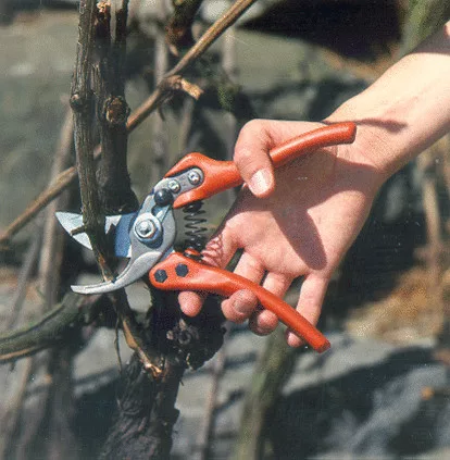 BAHCO Metszőolló, kompozit markolattal 230 mm (vágókapacitás 30 mm)