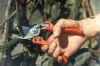 Foarfece de grădinărit BAHCO, mâner compozit 230 mm (capacitate de tăiere 30 mm)