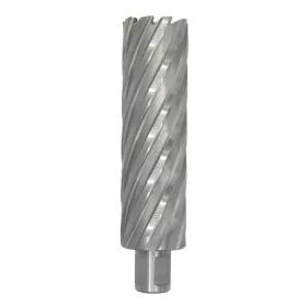   Mașină de găurit cu carotă ECEF Weldon 19, HSS-M2 42x100 mm