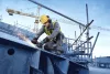 BOSCH Expert Akkus sarokcsiszóló EXWS18V-15S